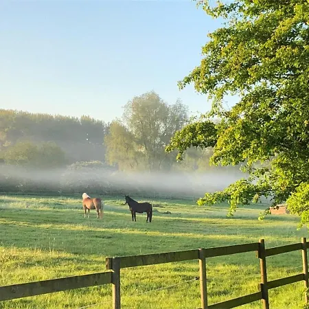 Ferienwohnung Kranichflug - Ferienresidenz Am Nationalpark In - #128438 Gingst